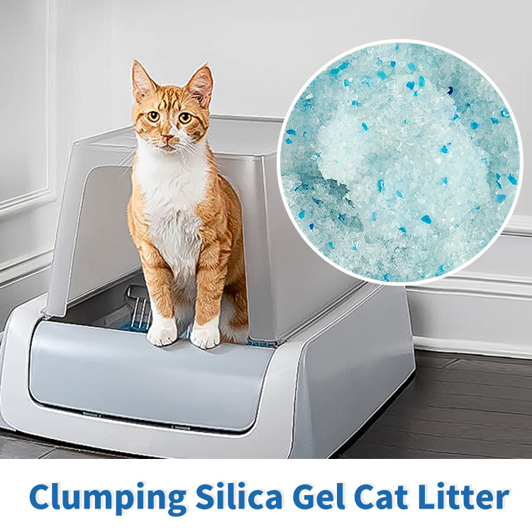 Clumping Silica Gel Cat Litter wholesale in USA